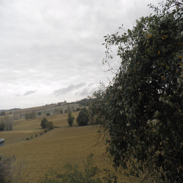 Offres de vente Terrain Avignonet-Lauragais 31290